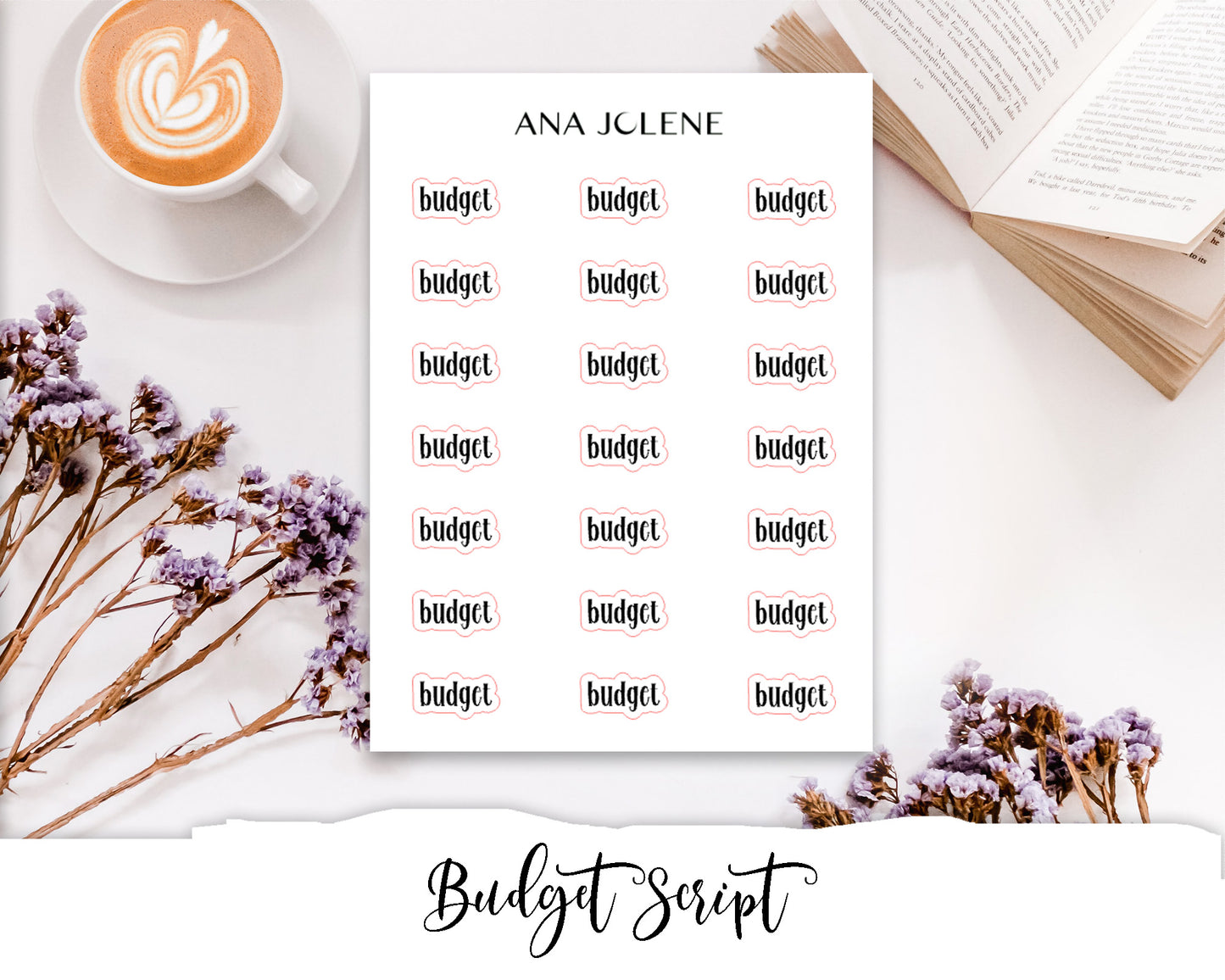 Budget Script Stickers