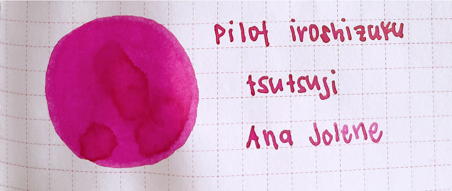 Pilot Iroshizuku Fountain Pen Ink Samples