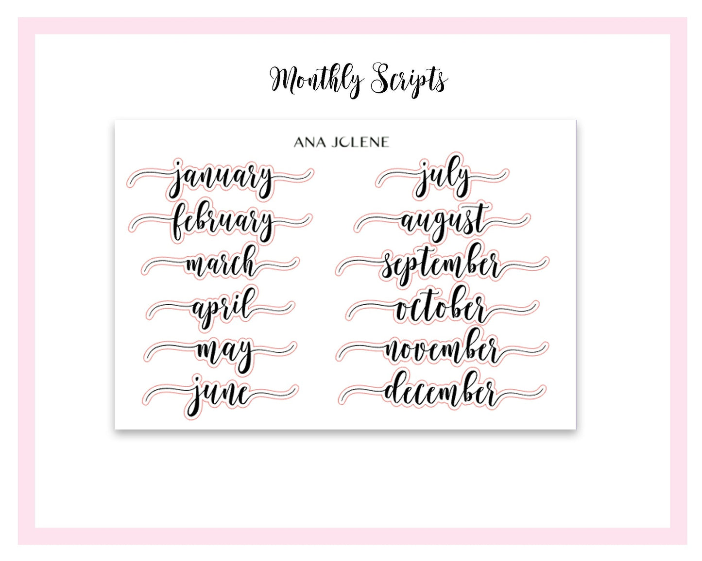 WILDFLOWER EC 7x9 Monthly Budget Planner Sticker Kit (Erin Condren Life Planner)
