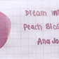 Dream Ink Fountain Pen Ink Samples