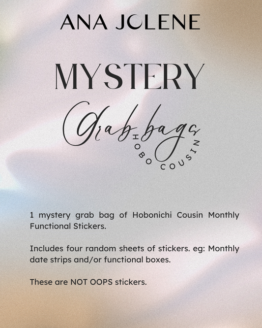 Mystery Grab Bag - Hobonichi Cousin Monthly Functional Stickers