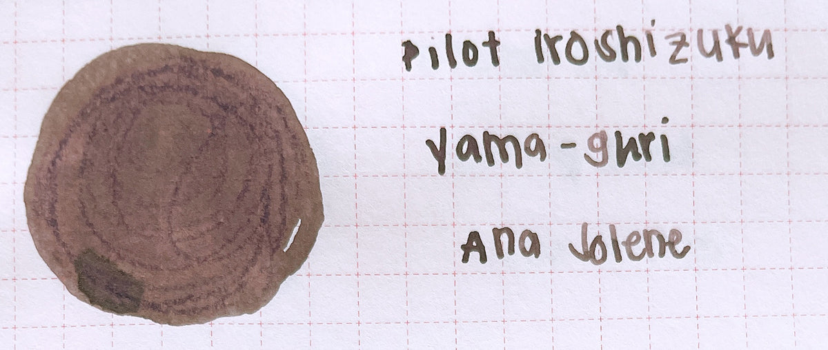 Pilot Iroshizuku Fountain Pen Ink Samples