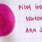 Pilot Iroshizuku Fountain Pen Ink Samples