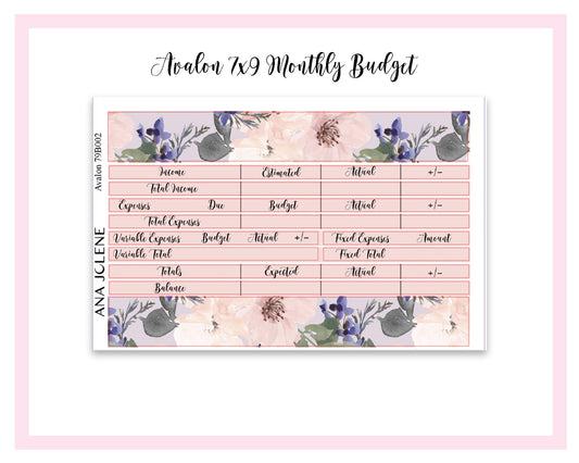 AVALON EC 7x9 Monthly Budget Planner Sticker Kit (Erin Condren Life Planner)